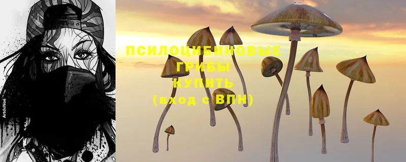 Галлюциногенные грибы Magic Shrooms  Островной 